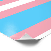 trans perfect poster (Hoek)