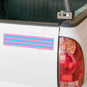 Trans Pride (1999 Historisch) Bumpersticker