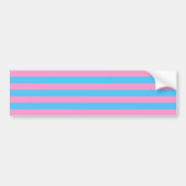 Trans Pride (1999 Historisch) Bumpersticker (Voorkant)