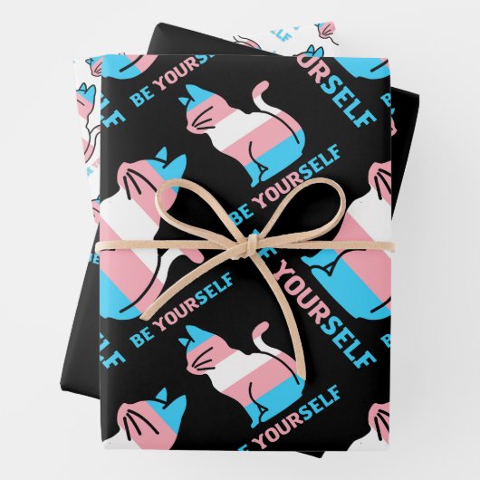 Trans Pride Cat - Wees jezelf Inpakpapier Vel (In situ)