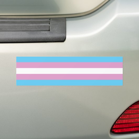 Trans Pride Flag Bumpersticker (Op auto)