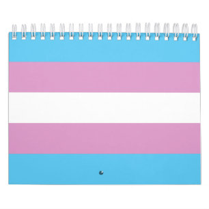 Trans Pride Flag Kalender
