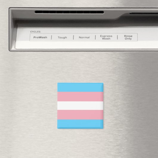 Trans Pride Flag Magneet (Insitu (Vaatwasser))
