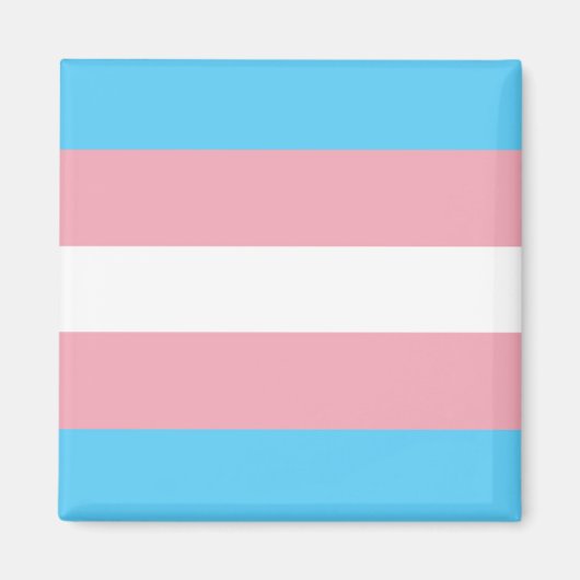 Trans Pride Flag Magneet (Voorkant)