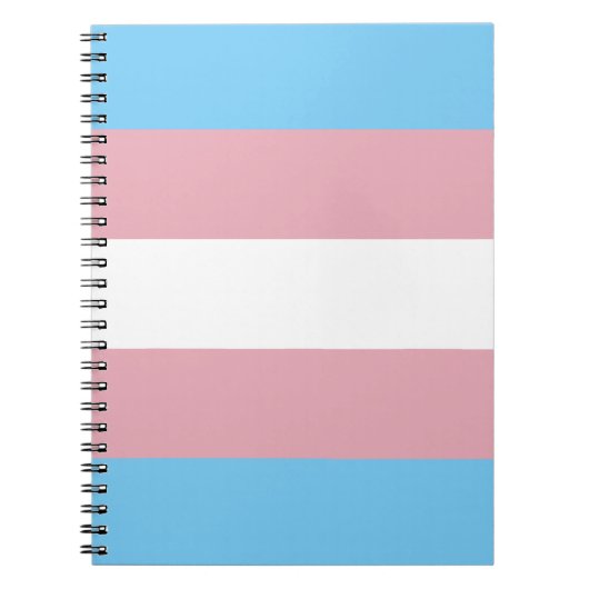 Trans Pride Flag Notitieboek (Voorkant)