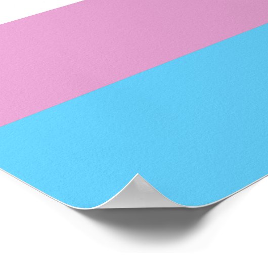 Trans Pride Flag Poster (Hoek)