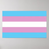 Trans Pride Flag Poster (Voorkant)
