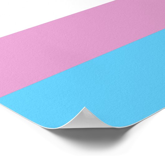 Trans Pride Flag Poster (Hoek)