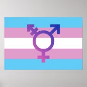 Trans Pride Flag Poster (Voorkant)