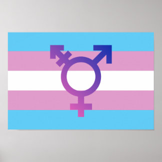 Trans Pride Flag Poster