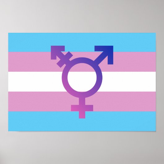 Trans Pride Flag Poster (Voorkant)