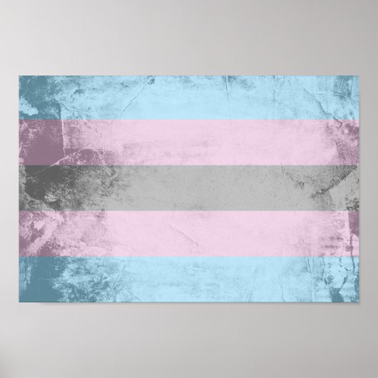 Trans Pride Flag Poster (Voorkant)