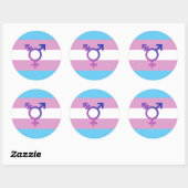 Trans Pride Flag Ronde Sticker (Vel)