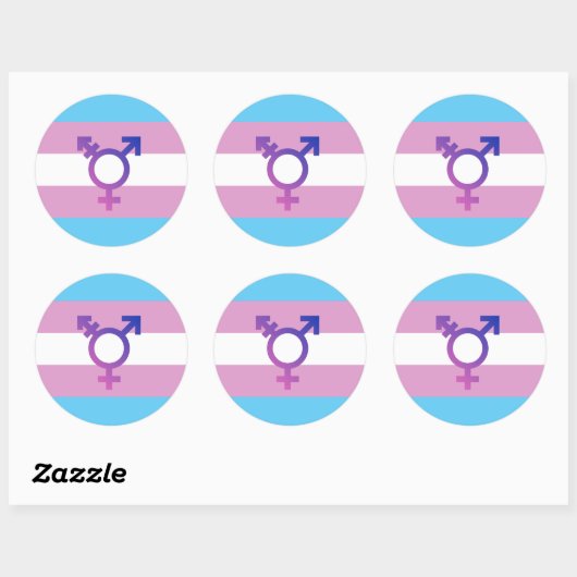 Trans Pride Flag Ronde Sticker (Vel)