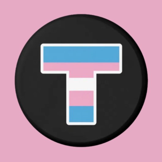 Trans Pride Hoofdletter T Magneet