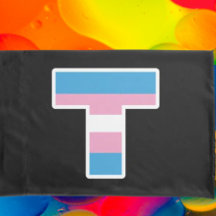 "Trans Pride Hoofdletter T Pillowcase Set