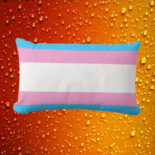 Trans Pride Steun Lendenkussen Kussen (Creator heeft geüpload)