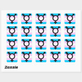 Trans Pride stickers - afgerond, met symbool (Vel)