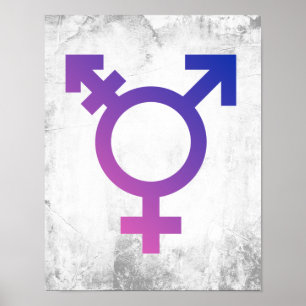 Trans Pride Symbool Poster