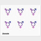 Trans Pride Symbool Ronde Sticker (Vel)