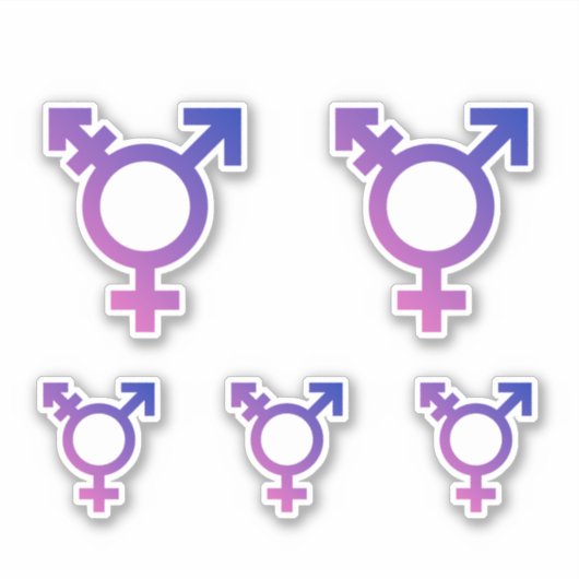 Trans Pride-symbool Sticker (Voorkant)