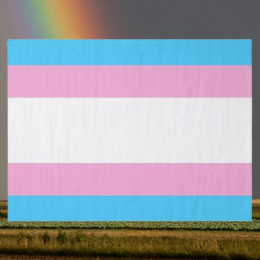 Trans Pride Tissue Delight Tissuepapier