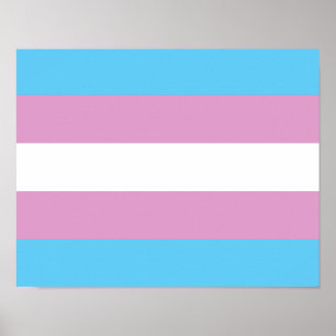 Trans Pride-vlag - (2) Poster