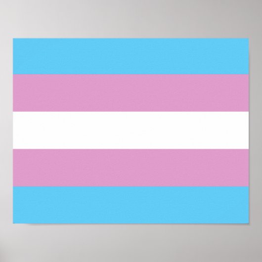Trans Pride-vlag - (2) Poster (Voorkant)
