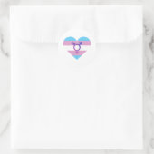 Trans Pride Vlag Hart Ronde Sticker (Tas)