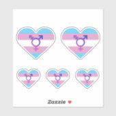 Trans Pride Vlag Hart Sticker (Vel)