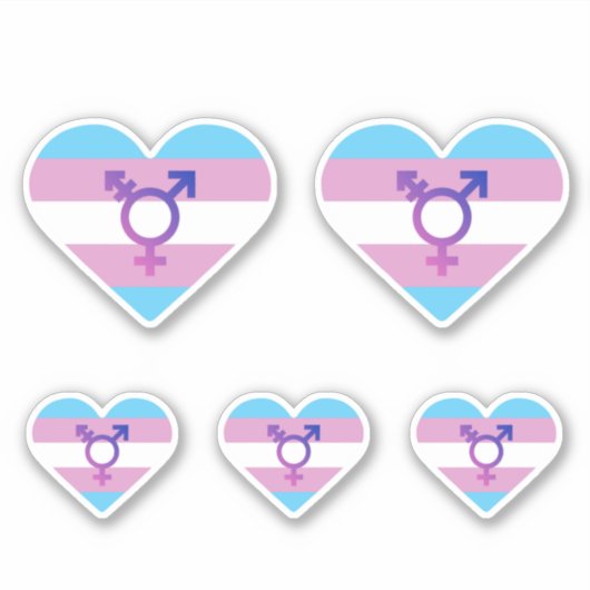 Trans Pride Vlag Hart Sticker (Voorkant)