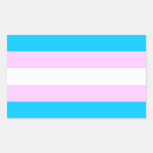 Trans pride vlag stickers
