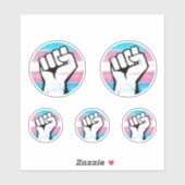 Trans Pride Vuist Cirkel Print Sticker (Vel)