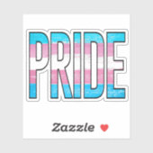 Trans Pride Woord Sticker (Vel)