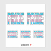 Trans Pride Woord Sticker (Vel)