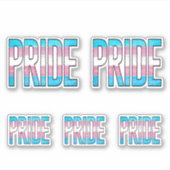Trans Pride Woord Sticker (Voorkant)