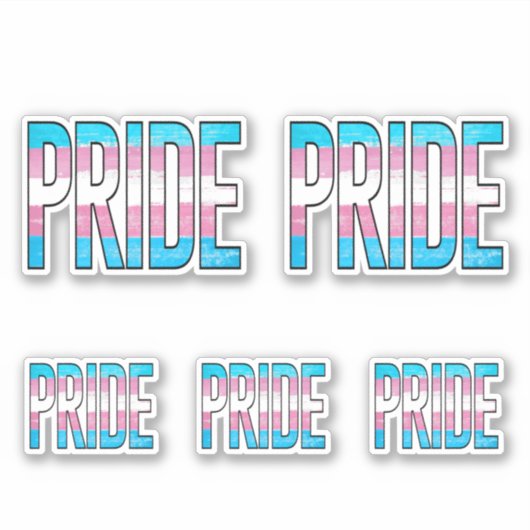 Trans Pride Woord Sticker (Voorkant)