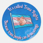 Trans Rights Sticker (Voorkant)