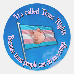 Trans Rights Sticker