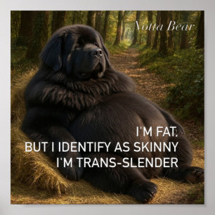 Trans-slank  poster