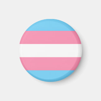 trans vlag op magneet