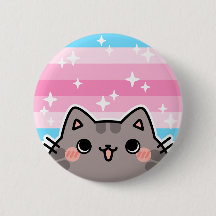 Trans Vrouwelijke LGBT Pride Flag Cat Button