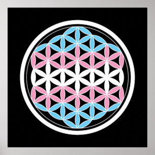 tranSacred geometrie Poster