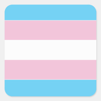 Transexual Pride vlag Vierkante Sticker