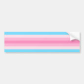 Transfeminine Pride Bumpersticker (Voorkant)