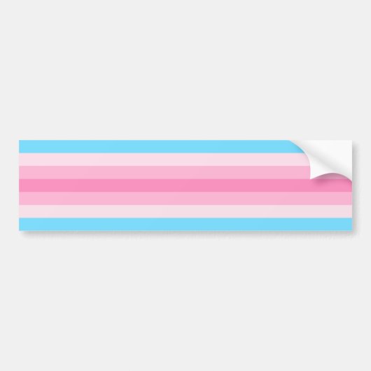 Transfeminine Pride Bumpersticker (Voorkant)