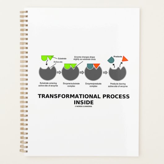 Transformationeel proces in enzyminsubstraat planner (Voorkant)