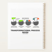 Transformationeel proces in enzyminsubstraat planner (Achterkant)