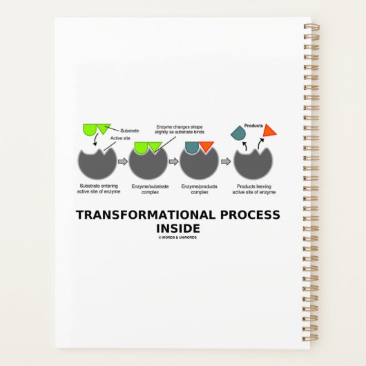 Transformationeel proces in enzyminsubstraat planner (Achterkant)