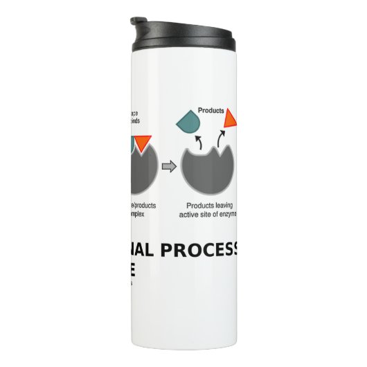 Transformationeel proces in enzyminsubstraat thermosbeker (Geroteerd rechts)